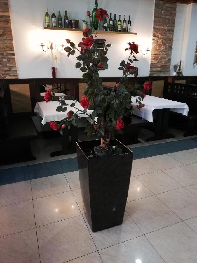 Apartmán Santa Rita